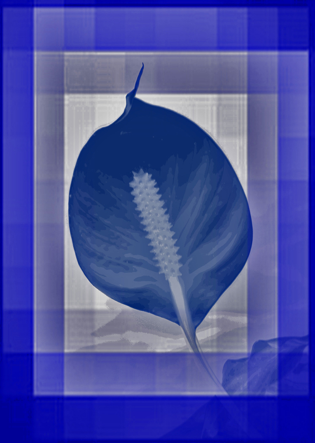 Blue Leaf Concept - Harold Mousley